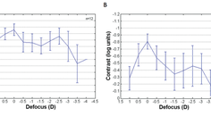 Bridging the Gap Between Lab and Clinical Practice in Assessing Multifocal IOLs