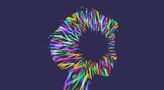Visual Disturbances in Headache