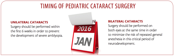 IOLs in Pediatrics Is There a Verdict