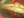 Figure 1. The curved cannula tip in the anterior chamber.