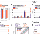 Automated Standard Graphs for Refractive Surgery