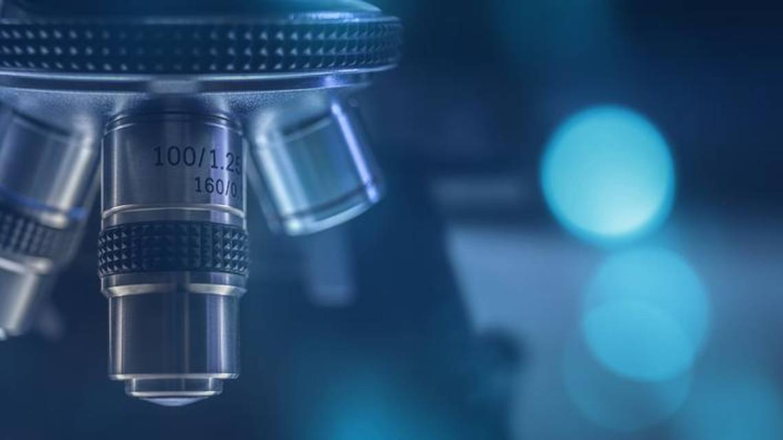 From Microscope to Matrimony