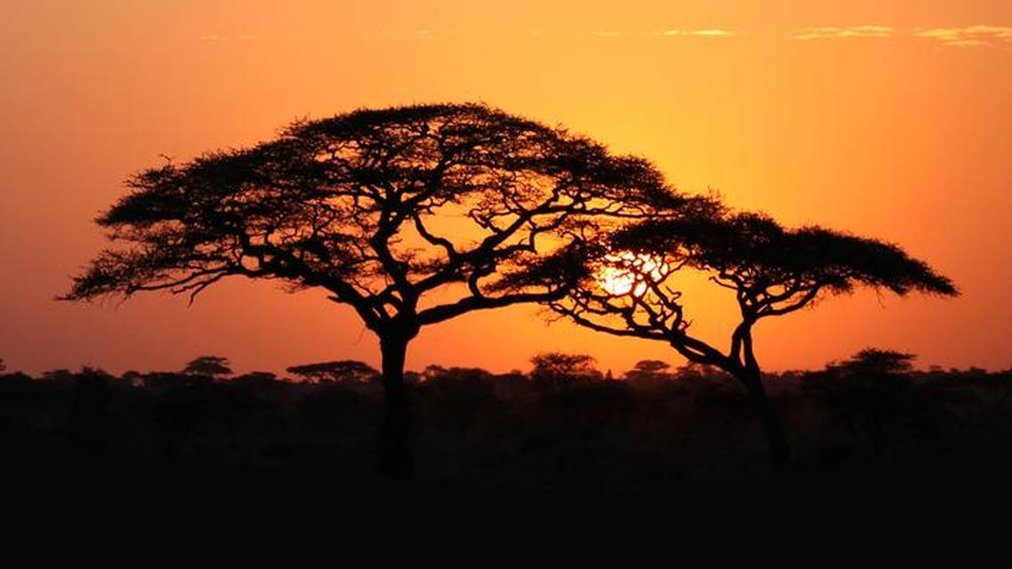 Safari Njema