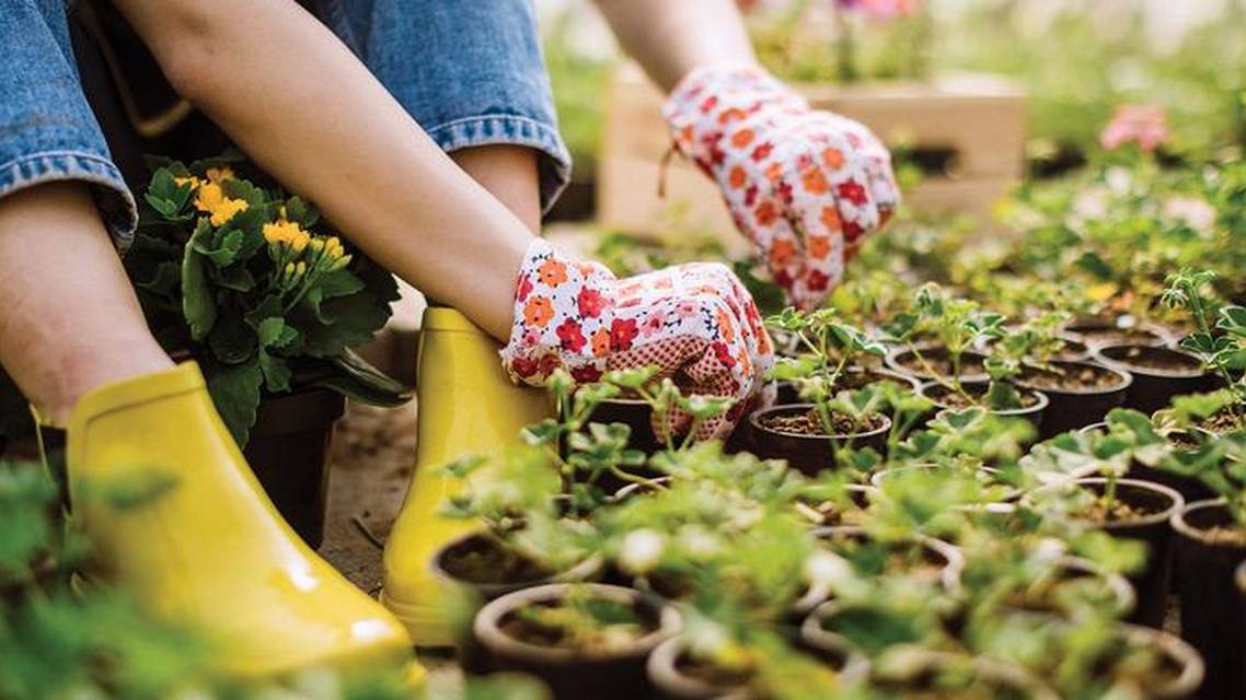 The Best Things in Life Are Free and so Is Company Culture