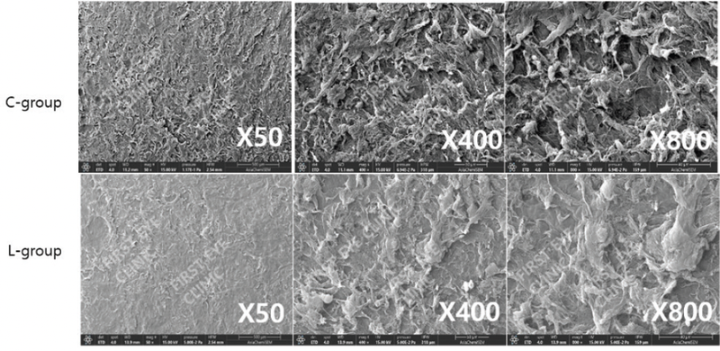 Scanning Electron Microscopy on ATOS SmartSight Lenticules