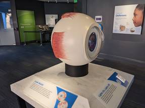 New Museum of the Eye Exhibit Explores the Eye as a Cultural Symbol, From Ancient to Modern Times image