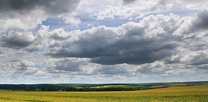 How Cloudy Can a Cornea Get