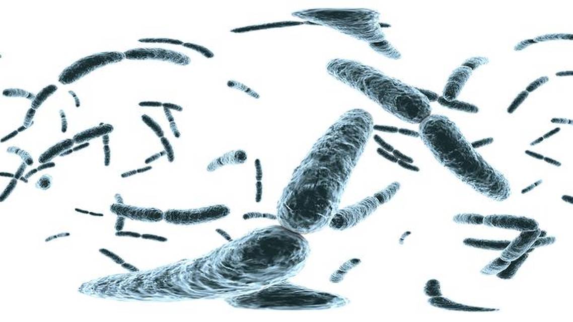 Are Microbiota and Probiotics Ready for Use in Ophthalmology