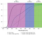 Chromophore IOLs What Does the Evidence Say
