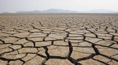 Evaporative Dry Eye Disease