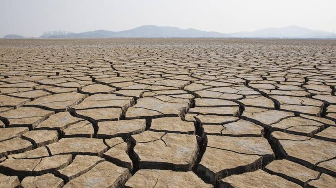 Evaporative Dry Eye Disease