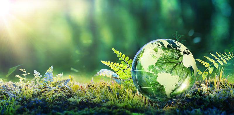 Environmentally Sustainable Practices in the Eye Health Sector