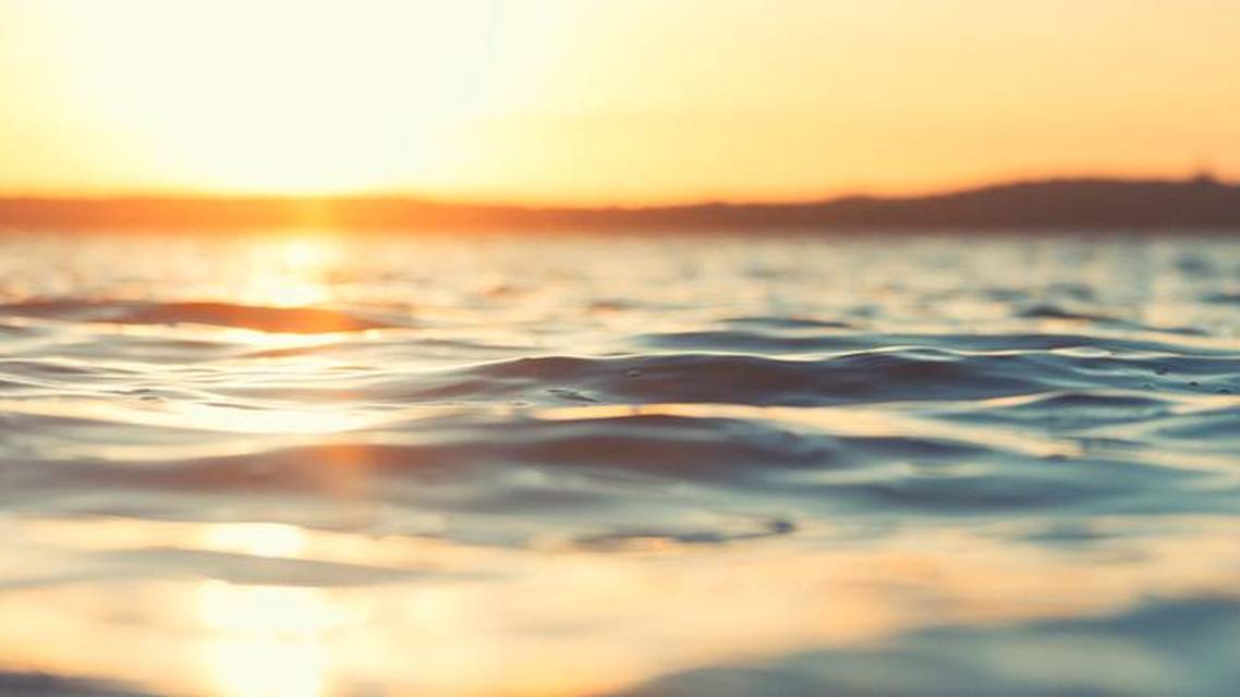 Reflections on a Fantastic Journey