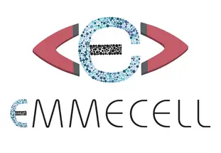 Eversight Partners with Emmecell Biotech to Advance Ocular Cell Therapies image