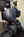 Figure. Dr. Schehlein handles large amounts of waste from the OR.
