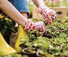 The Best Things in Life Are Free and so Is Company Culture