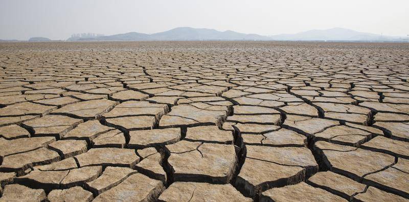 Evaporative Dry Eye Disease